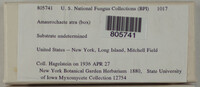Image Associated With the Occurence